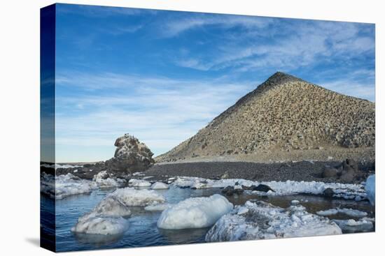 Mountain full of imperial shags (Phalacrocorax atriceps), Paulet Island, Antarctica, Polar Regions-Michael Runkel-Premier Image Canvas