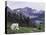 Mountain Goat Adult with Summer Coat, Hidden Lake, Glacier National Park, Montana, Usa, July 2007-Rolf Nussbaumer-Premier Image Canvas