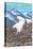 Mountain Goats Scene, Glacier National Park, Montana-Lantern Press-Stretched Canvas