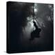 Mountain Gorilla Hanging on Vine-Adrian Warren-Premier Image Canvas