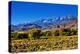 Mountain Landscape Along Hwy 395, California, USA-Joe Restuccia III-Premier Image Canvas