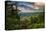 Mountain Laurel, Sunrise, Beacon Heights, North Carolina-Howie Garber-Premier Image Canvas