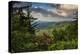 Mountain Laurel, Sunrise, Beacon Heights, North Carolina-Howie Garber-Premier Image Canvas