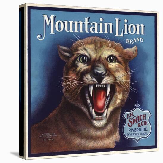 Mountain Lion Brand - Riverside, California - Citrus Crate Label-Lantern Press-Stretched Canvas