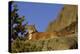 Mountain Lion, Montana-Richard and Susan Day-Premier Image Canvas