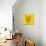 Mountain Lion Yellow Mesh-Lisa Kroll-Stretched Canvas displayed on a wall