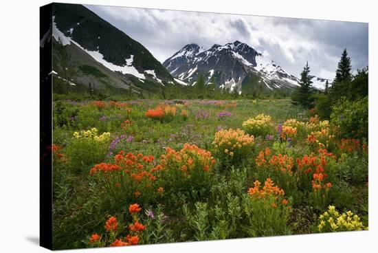 Mountain Meadow, Canada-David Nunuk-Premier Image Canvas