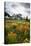 Mountain Meadow, Canada-David Nunuk-Premier Image Canvas