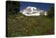 Mountain Meadow-Bob Gibbons-Premier Image Canvas