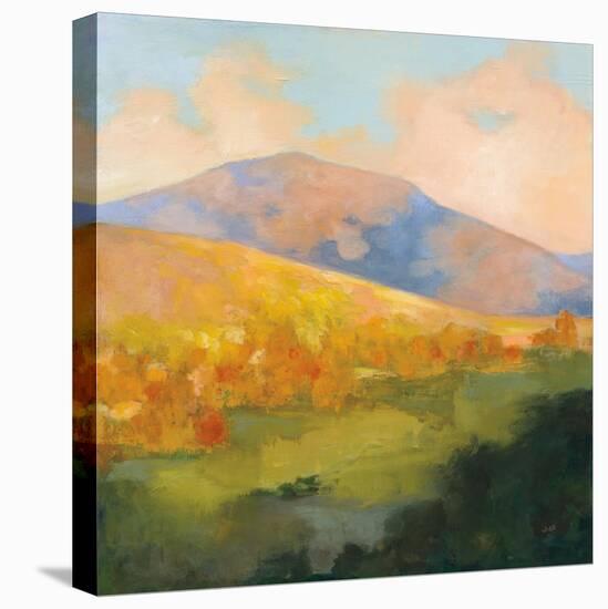 Mountain Morning-Julia Purinton-Stretched Canvas