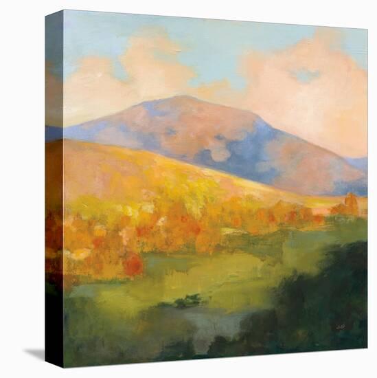 Mountain Morning-Julia Purinton-Stretched Canvas