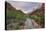 Mountain of the Sun, Cottonwood, Virgin River, Zion National Park, Utah, Usa-Rainer Mirau-Premier Image Canvas
