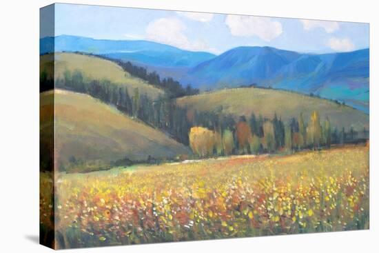Mountain Pass I-Tim OToole-Stretched Canvas