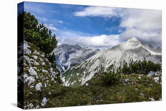 Mountain Pines and Grass in the Back of the Reps, View at Kaltwasserspitzet and Southern Sonnenspit-Rolf Roeckl-Premier Image Canvas