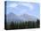 Mountain Pines, Vysoke Tatry Mountains, Vysoke Tatry, Slovakia-Richard Nebesky-Premier Image Canvas