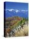 Mountain range and autumn foliage, Hakuma Miyama, Nagano Prefecture, Japan-null-Premier Image Canvas