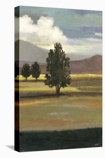 Mountain Range II-Norman Wyatt Jr^-Stretched Canvas