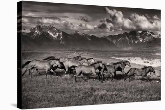 Mountain Range Mavericks-Lisa Dearing-Premier Image Canvas