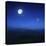 Mountain Range on a Misty Night with Moon, Starry Sky and Falling Meteorite-null-Premier Image Canvas