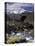Mountain Range Panorama, Pontresina Region, Switzerland-Art Wolfe-Premier Image Canvas