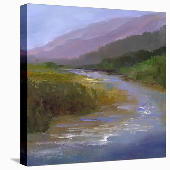 Mountain River I-Sheila Finch-Stretched Canvas