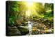 Mountain River With, Forest Landscape. Tranquil Waterfall Scenery in the Middle of Green Forest-Subbotina Anna-Premier Image Canvas