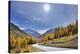 Mountain road with larch trees and sun in autumn, Livigno, Sondrio, Lombardei, Italy-Raimund Linke-Premier Image Canvas