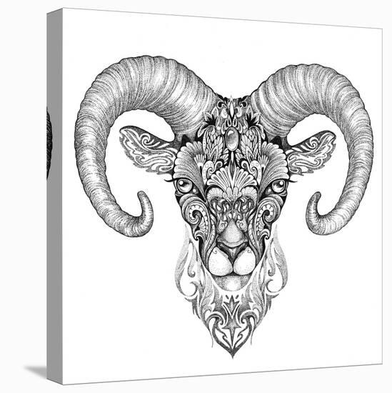 Mountain Sheep, Argali, Black and White Ink Drawing-Vensk-Stretched Canvas