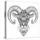 Mountain Sheep, Argali, Black and White Ink Drawing-Vensk-Stretched Canvas