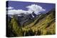 Mountain slope along Million Dollar Highway, Ouray, Colorado.-Adam Jones-Premier Image Canvas