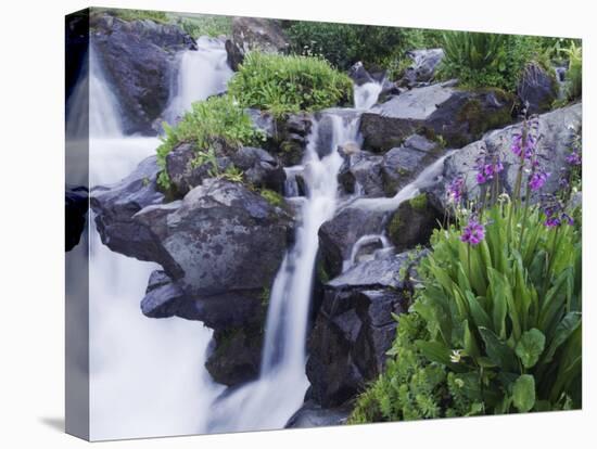 Mountain Stream and Wildflowers, Ouray, San Juan Mountains, Rocky Mountains, Colorado, USA-Rolf Nussbaumer-Premier Image Canvas