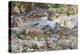 Mountain Stream, c.1912-14-John Singer Sargent-Premier Image Canvas