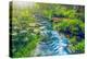 Mountain Stream in Green Forest. Carpathians, Ukraine-goinyk-Premier Image Canvas