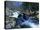 Mountain Stream in La Massana in Andorra, Europe-Jeremy Bright-Premier Image Canvas