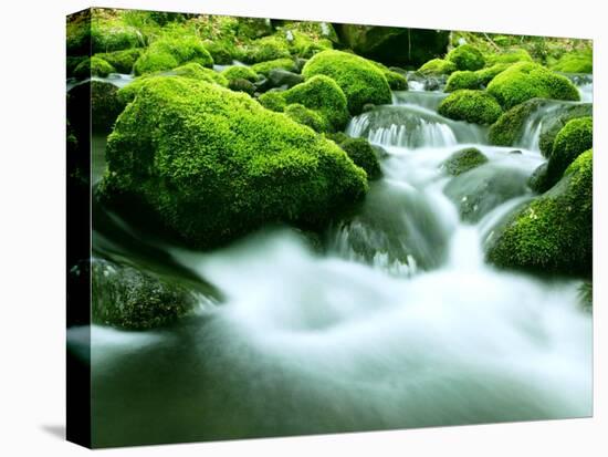 Mountain Stream-null-Premier Image Canvas