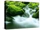 Mountain Stream-null-Premier Image Canvas