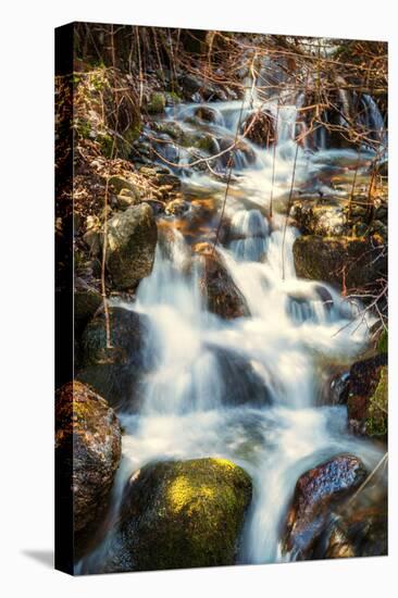 Mountain Stream-Beate Margraf-Premier Image Canvas