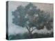 Mountain Top Tree-Joseph Marshal Foster-Stretched Canvas