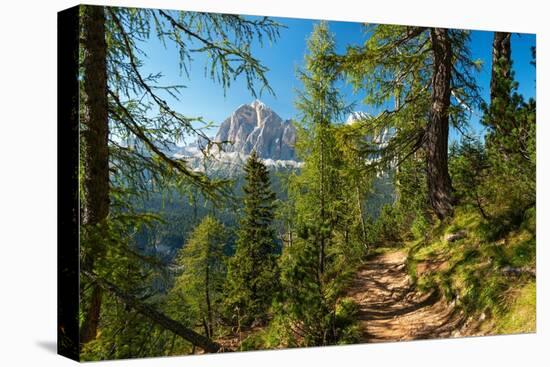 Mountain trail winding through forest, Dolomites, Italy-Konrad Wothe-Premier Image Canvas