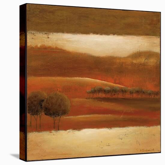 Mountain Valley II-Ursula Salemink-Roos-Stretched Canvas