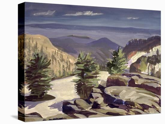 Mountain Vista, at Lassen Volcanic National Park, 2000-Howard Ganz-Premier Image Canvas