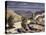 Mountain Vista, at Lassen Volcanic National Park, 2000-Howard Ganz-Premier Image Canvas