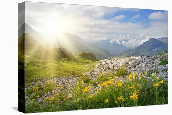 Mountains Landscape in Vorarlberg, Austria-egal-Premier Image Canvas