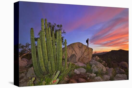 Mountains Near La Ventanaz, Baja California, Mexico-Christian Heeb-Premier Image Canvas