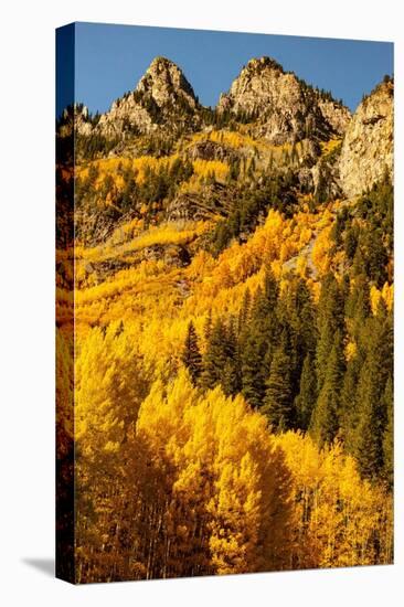 Mountains surrounding the Maroon Bells-Snowmass Wilderness in Aspen, Colorado.-Mallorie Ostrowitz-Premier Image Canvas