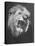 Mounted Head of the MGM Movie Studio Trademark-Walter Sanders-Premier Image Canvas