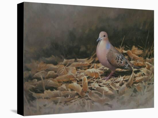 Mourning Dove-Michael Jackson-Premier Image Canvas