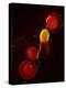 Mouse Malaria Parasite, SEM-Science Photo Library-Premier Image Canvas