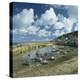 Mousehole, Cornwall, England, United Kingdom, Europe-Roy Rainford-Premier Image Canvas