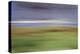 Moved Landscape 6035-Rica Belna-Premier Image Canvas